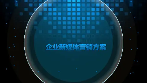 企业新媒体营销建设方案