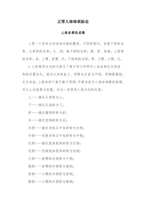 正常人体解剖学试题及答案(八)