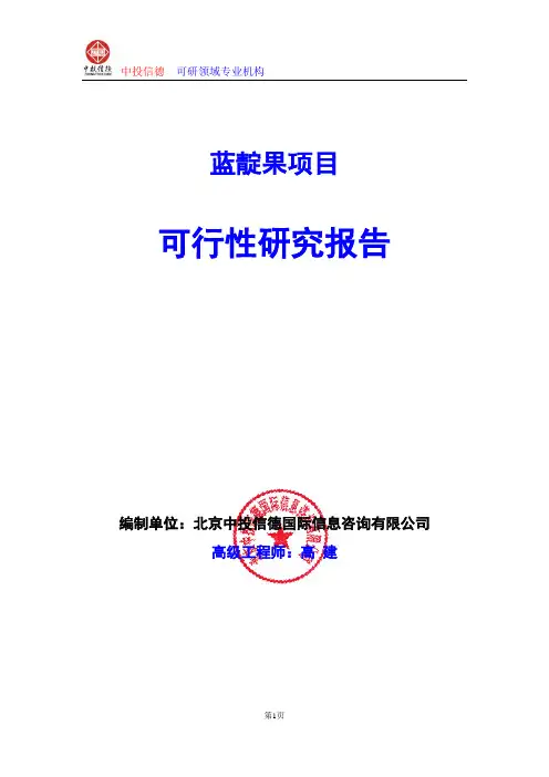 蓝靛果项目可行性研究报告编制格式说明(模板型word)