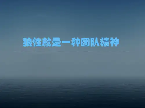 狼性团队_