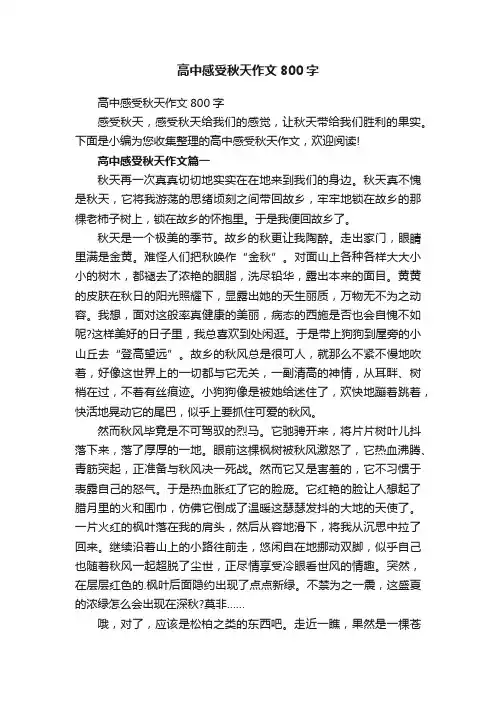 高中感受秋天作文800字