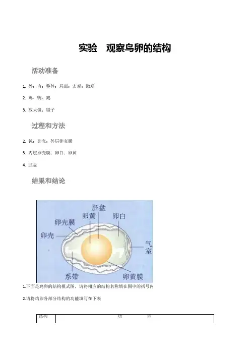 生物新人教版8下探究活动报告册答案