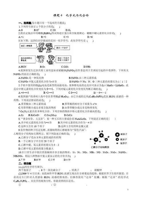 九年级化学上册 化学式与化合价   练习1 含答案