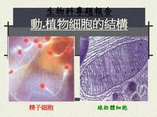 动植物细胞的结构