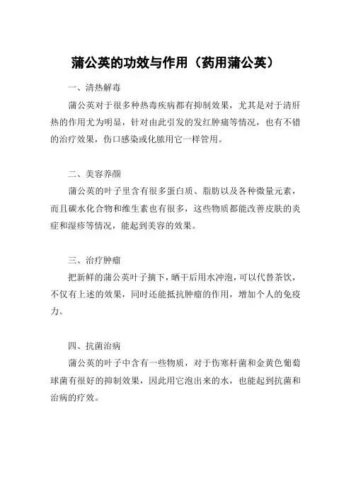 蒲公英的功效与作用(药用蒲公英)