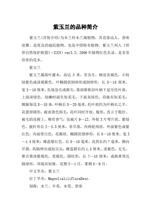 紫玉兰的品种简介