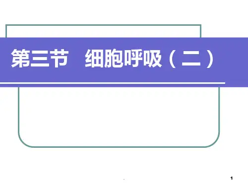 第三篇细胞呼吸(二)PPT课件
