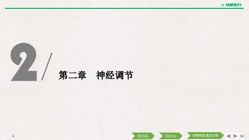 第1节 神经调节的结构基础