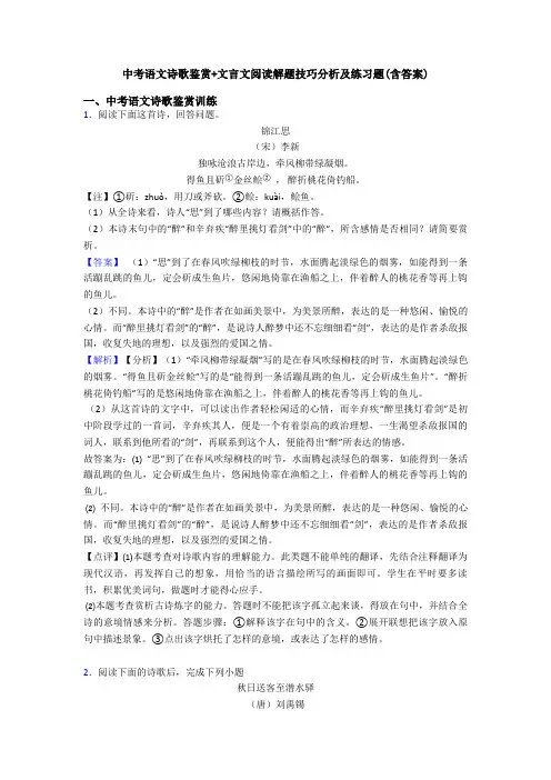 中考语文诗歌鉴赏+文言文阅读解题技巧分析及练习题(含答案)