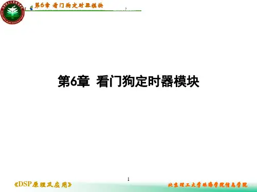 SP第6章看门狗定时器模块
