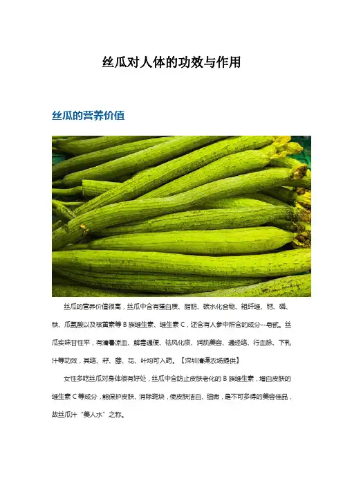丝瓜对人体的功效与作用