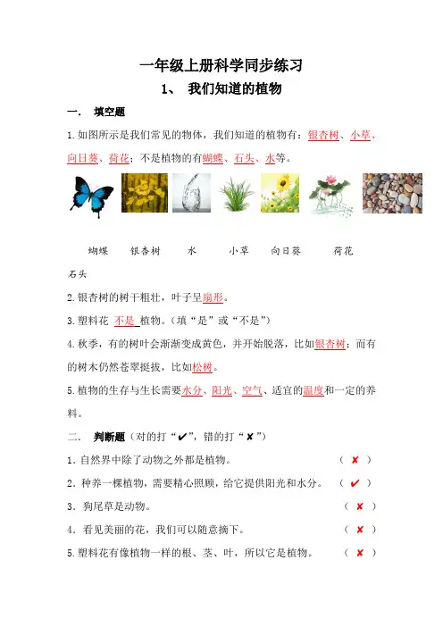 一年级上册科学同步练习1我们知道的植物