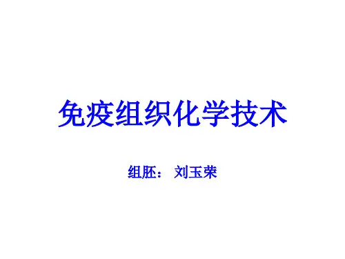免疫组化技术