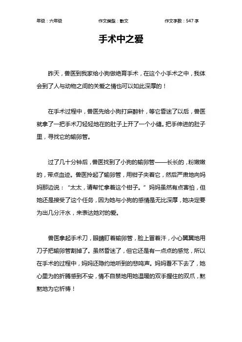 手术中之爱作文【小学六年级500字】