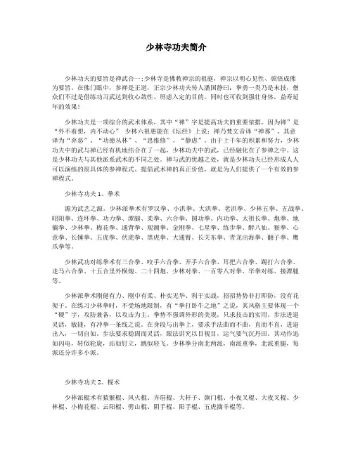 少林寺功夫简介