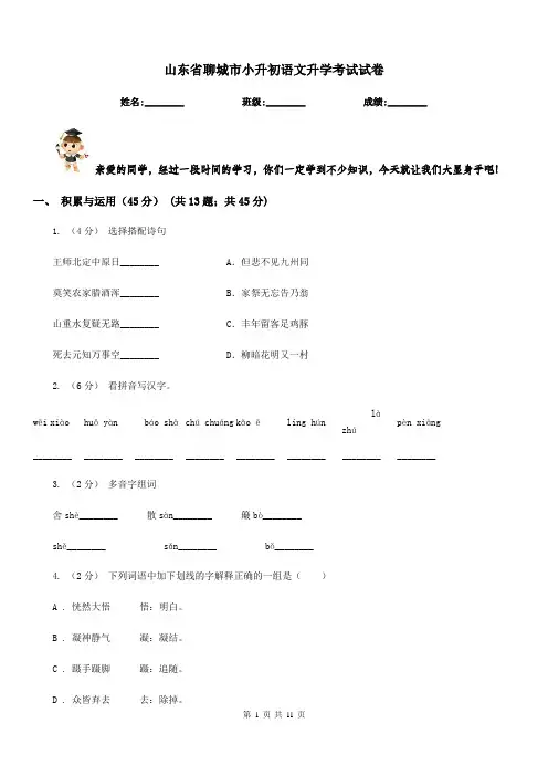 山东省聊城市小升初语文升学考试试卷