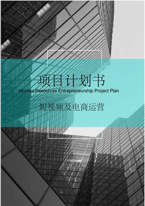 短视频与电商运营项目融资商业计划书