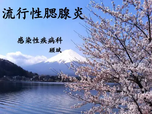 流行性腮腺炎PPt