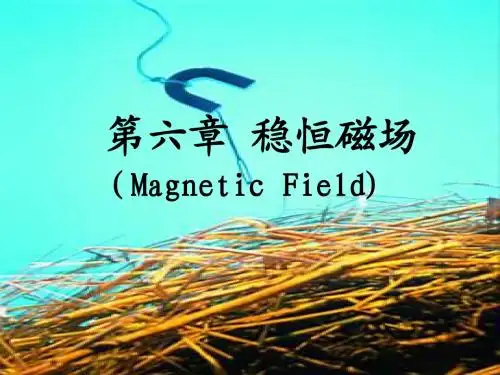 第六章磁场
