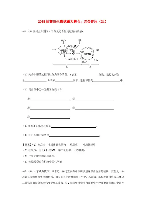最新-2018届高三生物试题大集合 光合作用(24) 精品