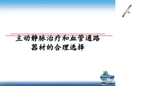 最新主动静脉治疗和血管通路器材的合理选择