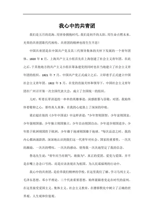 我心中的共青团