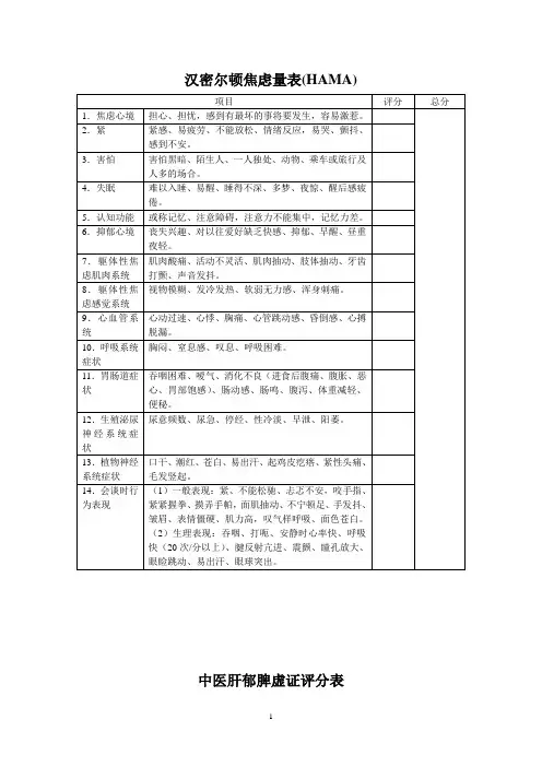 Hamilton汉密尔顿焦虑量表 2