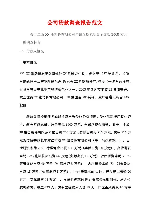 公司贷款调查报告范文范文