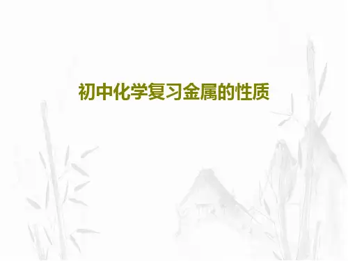 初中化学复习金属的性质31页PPT