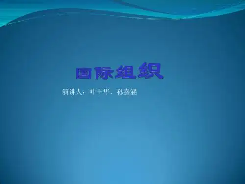 国际组织