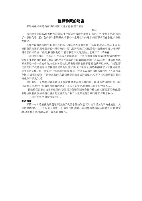 作文    值得珍藏的财富