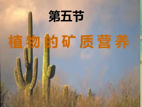 植物的矿质营养PPT教学课件