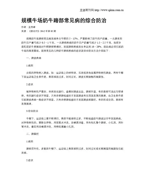 规模牛场奶牛蹄部常见病的综合防治