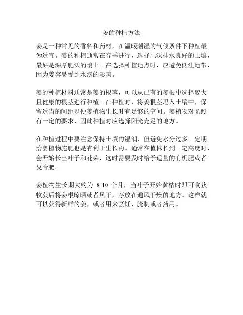 姜的种植方法