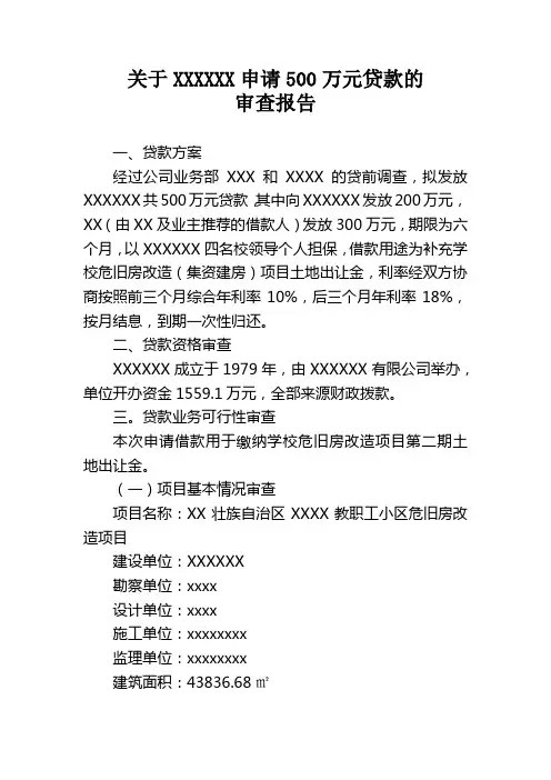小额贷款公司贷款审查报告