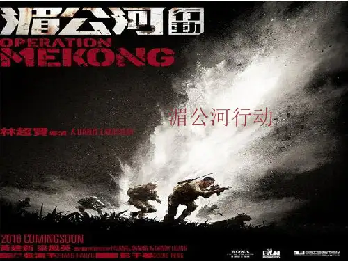 湄公河行动