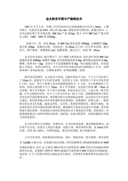 金太阳杏早期丰产栽培技术