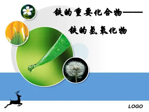 高中化学必修一铁的氢氧化物