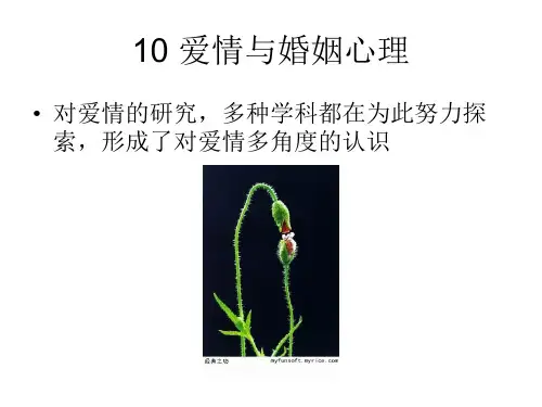 爱情与婚姻心理1(精)