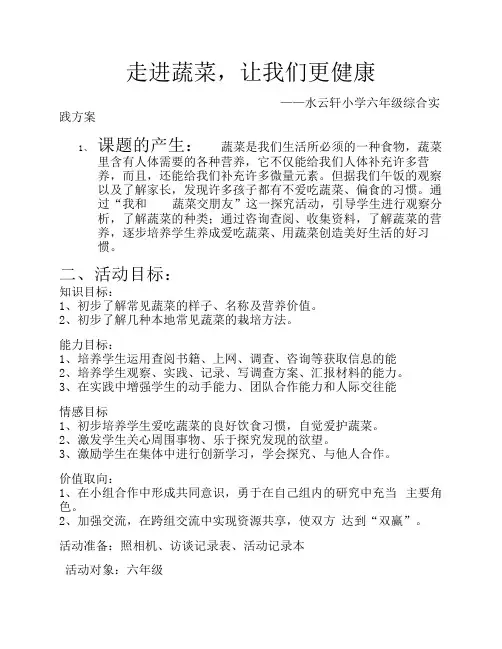 六年级综合实践活动方案 2