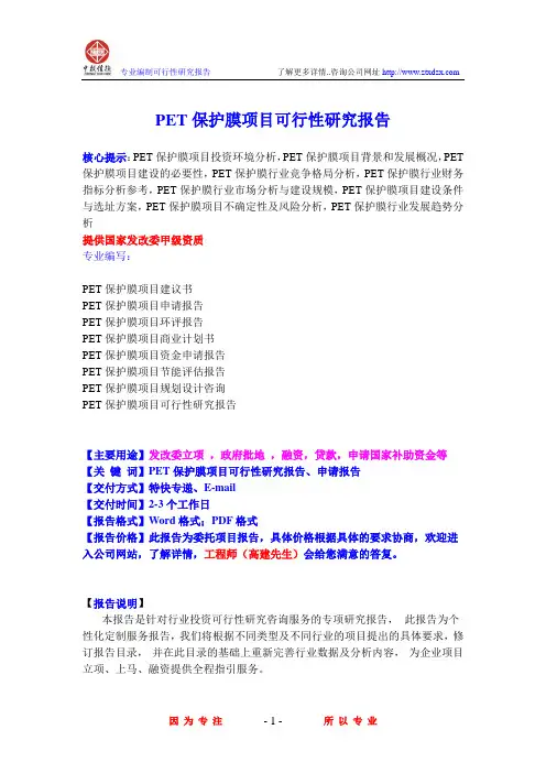 PET保护膜项目可行性研究报告