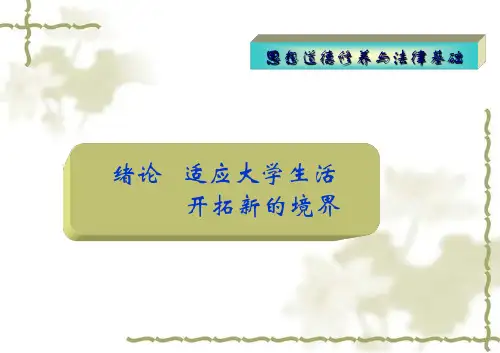 适应大学生活