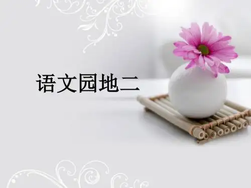 观察日记