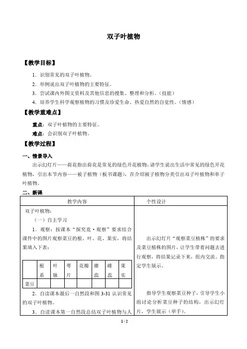 冀少版七年级生物上册：3.6.1 双子叶植物  教案1