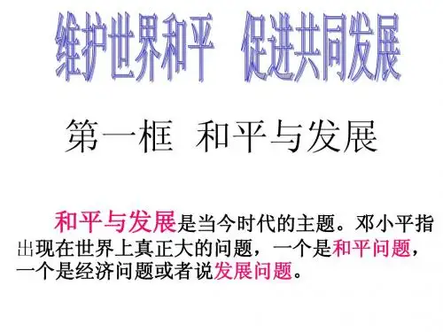 思想政治 政治生活9-1-2-3课件