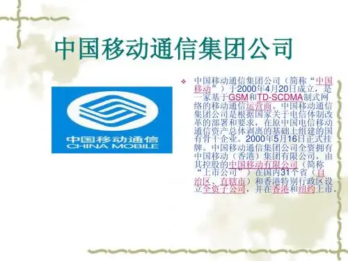 SWOT案例分析