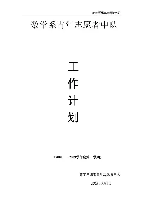 08-09年青年志愿者工作计划