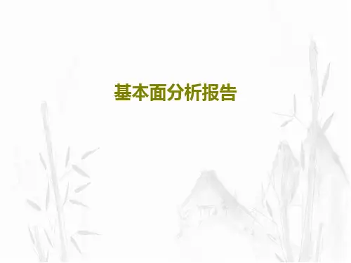 基本面分析报告27页PPT