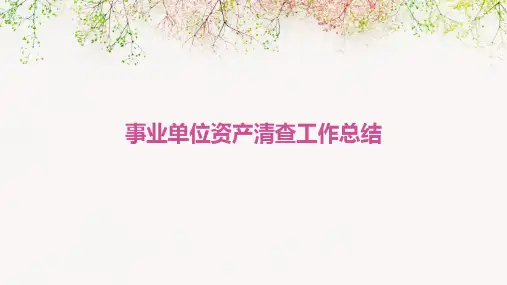 事业单位资产清查工作总结PPT