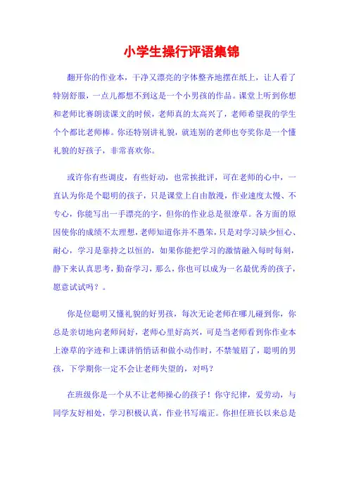 小学生操行评语大全 2